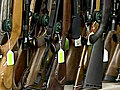 Latest : Gun controversy : CTV News Channel: NDP Leader Jack Layton