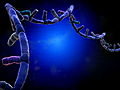 Through the Wormhole: From RNA to DNA