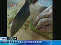 猫狗寵物新聞 2