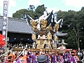 福崎　熊野神社　大門　宮入　屋台差し上げ　その２