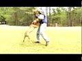 Protection Dog/Obedience Demonstration