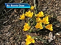 3/18: 6pm Storm Team 5 forecast