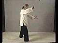 Part 29: Learn Tai Chi Free: Long Form: Erle Montaigue