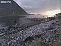 3,000 Reindeers Swimm Across Arctic Ocean