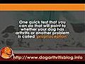 Dog Arthritis and Spinal Problems