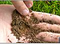 Inspecting Garden Soil Conditions