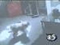 DNA used for Green Bay animal cruelty case