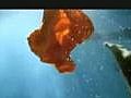 Audrina Patridge Reality Show Trailer