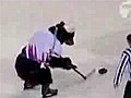 Bear Plays Hockey