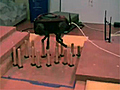 Robot equilibrista