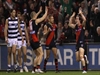 Bombers down Cats in stunning AFL upset