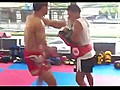 Muay Thai Kicking Machine