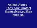 Animal Abuse!