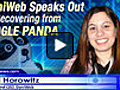 Permanent Link to DaniWeb Speaks out on Recovering from Google Panda