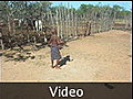 27.  VIDEO - Dizzy! - Himba, Namibia