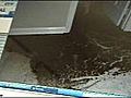 Troubleshooter: sewer troubles