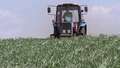 Russia lifts wheat export ban