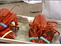 How To Boil and Cut Lobster