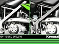 Kawasaki KLX125 & D-TRACKER 125 2010