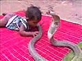 Baby vs. Snake
