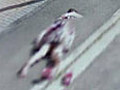 Girl playing dead caught on Google Street View