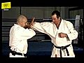 Karate Throws and Grapples