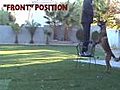 Dog Training - Try using a chair
