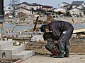 JAPAN: Live: Radiation levels &#039;fall&#039; at quake-stricken nuclear plant