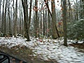 Beautiful Roaring Fork Motor Nature Trail in November 2010