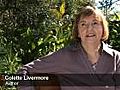 Colette Livermore Talks About Hope Endures