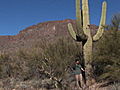 Earth: Saguaro Cactus: On The Border