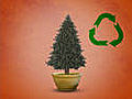 Recycle a Christmas Tree