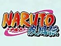 Naruto Shippuden Op 14