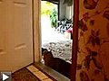 Un chat ouvre une porte pour faire entrer ses compagnons