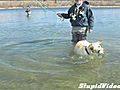 Fishing Dog