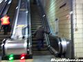 Long Escalator Walk