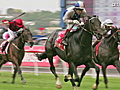 Americain wins Melbourne Cup