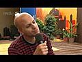 Interview de Milow au Paléo Festival