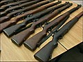 RCMP gun registry report