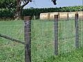 Fencing-Livestock