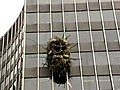 Man Builds Nest On Building