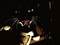 My Cat From Hell: Minibar’s Last Stop