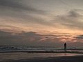 (1046) Bicycle Rider On Beach At Surise,  Summer Stock Footage