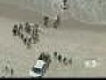 NYC School Investigating Field Trip Tragedy