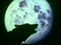 Phénomènes Inexpliqués : La frénésie de la lune