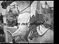 Equestrian Commercial