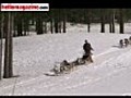 Take the reins for a spot of dog sledding in Quebec