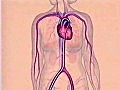 Cardiac Catheterization