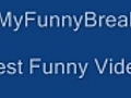**Funny - How to Kill a Funny Cat  - Cats With Gun !!! **