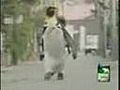 Smart Penguin